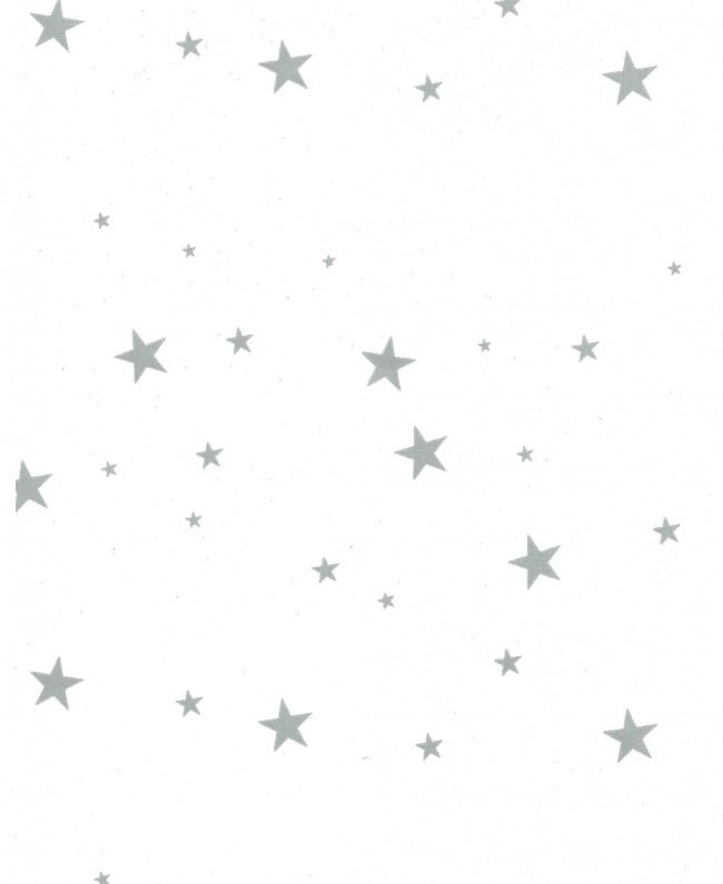 Rouleau de cellophane imprimé - Étoiles Argentées  40" x  100' (25 microns)