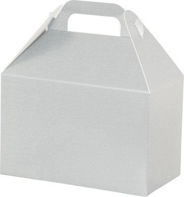 Boîte avec poignée - Argent métallique  8½" x 5" x 5½"