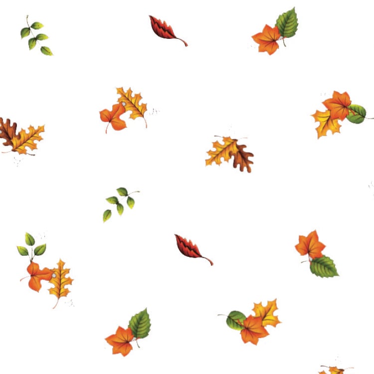 Rouleau de cellophane imprimé - Feuilles d'automne  40" x 100' (25 microns)